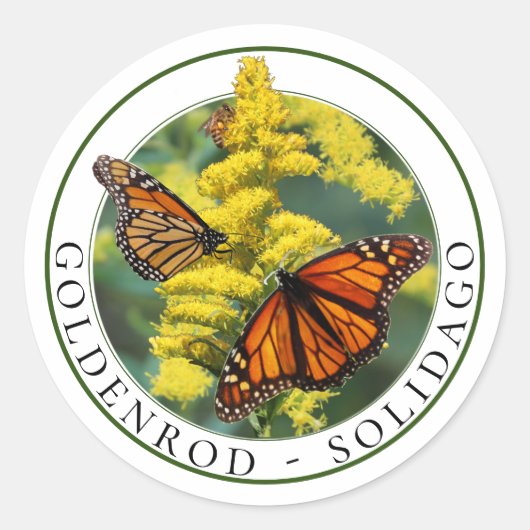 Goldenrod Solidago en Monarch Vlinders Ronde Sticker (Voorkant)