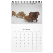 Goldens gewoon met plezier kalender (Mar 2026)