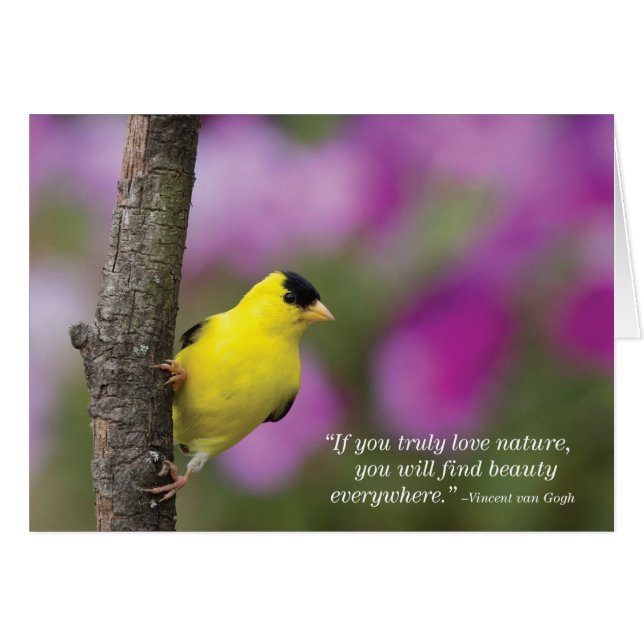 Goldfinch (Voorkant Horizontaal)