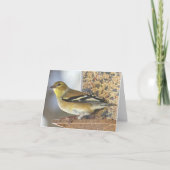 Goldfinch au chargeur - Carte blanche (Devant)