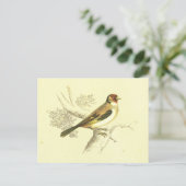 Goldfinch  Bird Lithograaf Briefkaart (Staand voorkant)