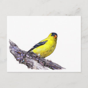 Goldfinch Briefkaart