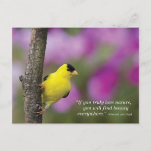 Goldfinch Briefkaart