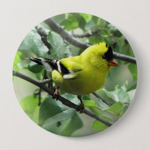 Goldfinch Button
