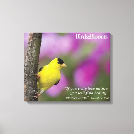 Goldfinch Canvas Afdruk (Voorkant)