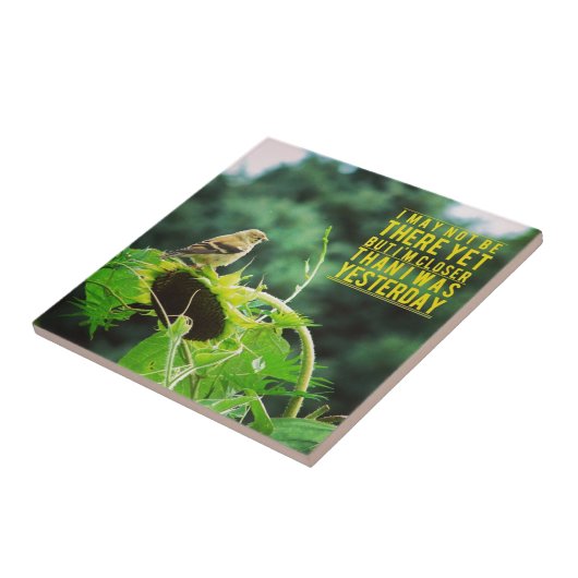 Goldfinch dichter dan ik gisteren positief was tegeltje (Zijkant)