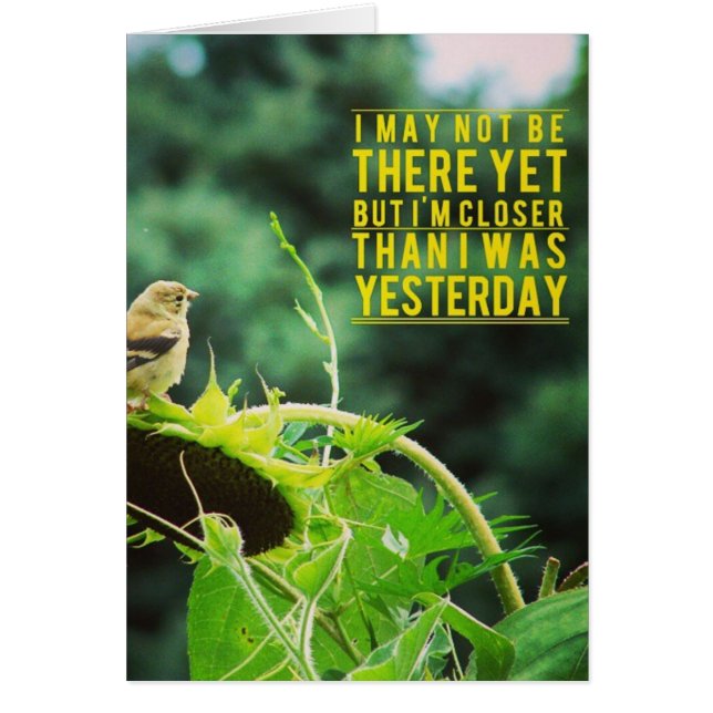 Goldfinch dichter dan ik gisteren was (Voorkant)