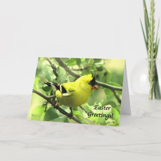 Goldfinch Easter Kaart (Voorkant)