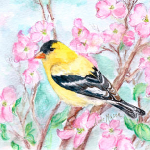 Goldfinch en Dogwood Flowers Kussen