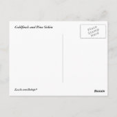 Goldfinch en Pine Siskin Briefkaart (Achterkant)