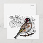 Goldfinch en rozen briefkaart (Voorkant / Achterkant)