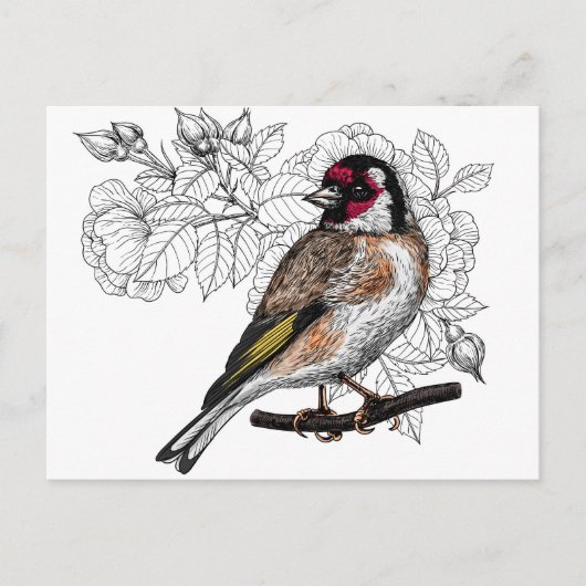 Goldfinch en rozen briefkaart (Voorkant)