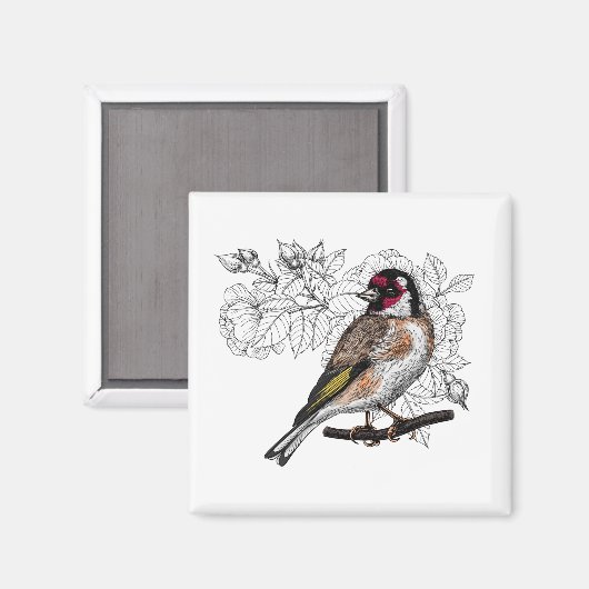 Goldfinch en rozen magneet (Voorkant / Achterkant)