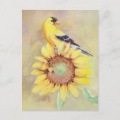 GOLDFINCH EN SUNFLOWER DOOR SHARON SHARPE BRIEFKAART (Voorkant)