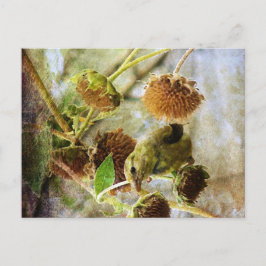 Goldfinch en zonnebloemen briefkaart