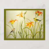 Goldfinch et Daylillies Imprimer carte postale (Devant)
