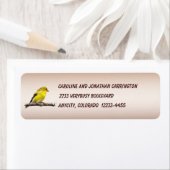 Goldfinch Etiket (Insitu)