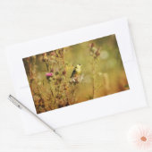 Goldfinch Foto Rechthoekige Sticker (Envelop)