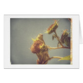 Goldfinch Grunge (Devant horizontal)