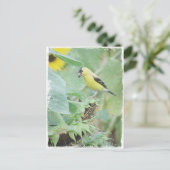 Goldfinch Grunge Briefkaart (Staand voorkant)