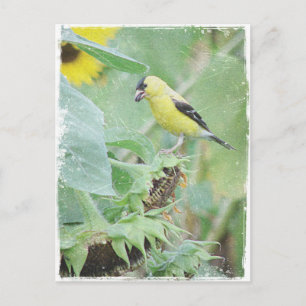 Goldfinch Grunge Briefkaart