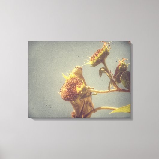 Goldfinch Grunge Canvas Afdruk (Voorkant)