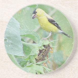 Goldfinch Grunge Zandsteen Onderzetter
