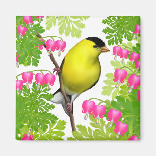 Goldfinch in Bleeding Heart Flowers Magnet Magneet