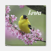 Goldfinch, Iowa State Bird Magnet (Devant)