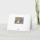 Goldfinch Kaart (Achterkant)