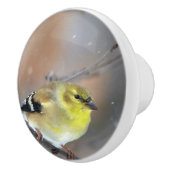 Goldfinch Keramische Knop (Rechts)