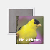 Goldfinch Magneet (Voorkant / Achterkant)