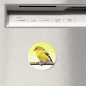 Goldfinch Magneet (Insitu (Vaatwasser))