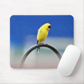 Goldfinch Mousepad Muismat (Met muis)