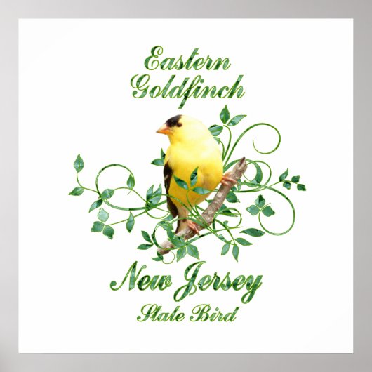 Goldfinch New Jersey State Bird Poster (Voorkant)