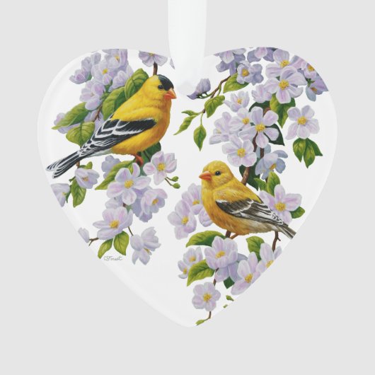 Goldfinch Oiseaux & Fleurs U-Pick Couleur Arrière  (devant)