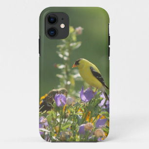 Goldfinch op een Harebell Flower iPhone 11 Hoesje