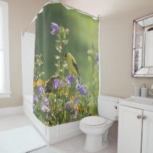 Goldfinch op een Harebell Flower