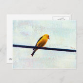Goldfinch op een stroomlijn briefkaart (Voorkant / Achterkant)