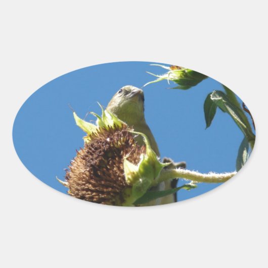 Goldfinch Ovale Sticker (Voorkant)