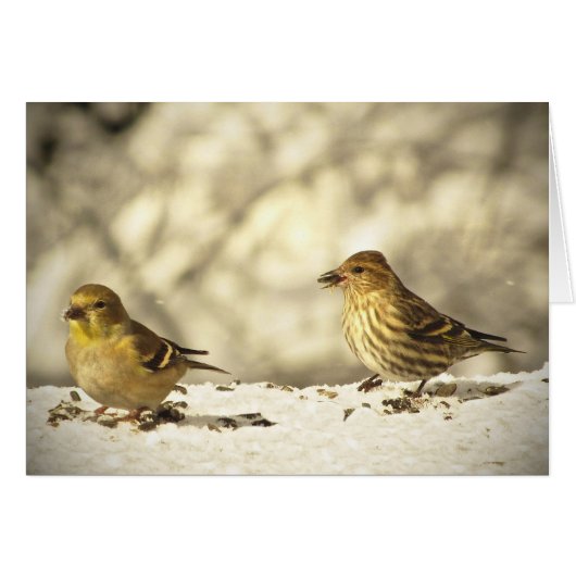 Goldfinch & Pine Siskin Blank Card (Voorkant Horizontaal)