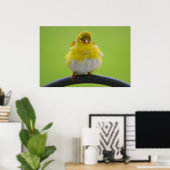 Goldfinch Print (Thuiskantoor)