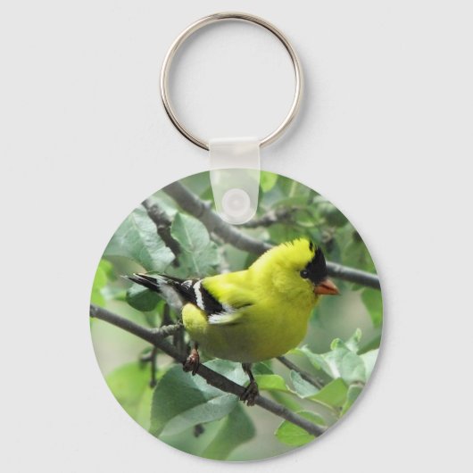 Goldfinch Sleutelhanger (Voorkant)