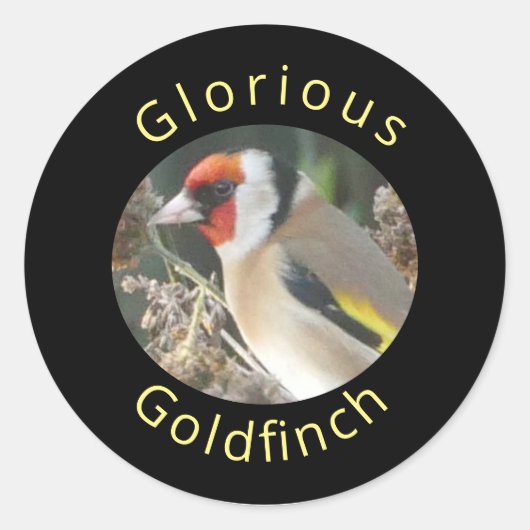 Goldfinch Sticker (Voorkant)