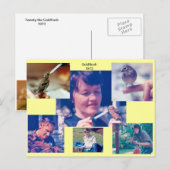 Goldfinch Story 1973 Briefkaart (Voorkant / Achterkant)