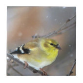 Goldfinch Tegeltje (Voorkant)