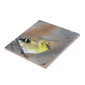 Goldfinch Tegeltje (Zijkant)