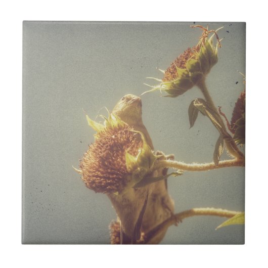 Goldfinch Tegeltje (Voorkant)