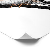 Goldfinch tekening poster (Hoek)