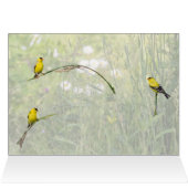 Goldfinches Et Fleurs Sauvages (Intérieur Horizontal (Haut))